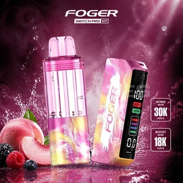 Foger Switchプロキット – ピーチベリー更新ャー 30K パフ（デバイス＋ポッド） 画像3